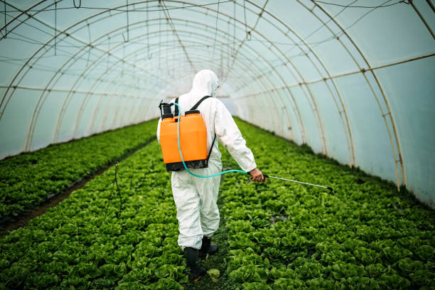 Best Affordable Exterminators  in Owosso, MI