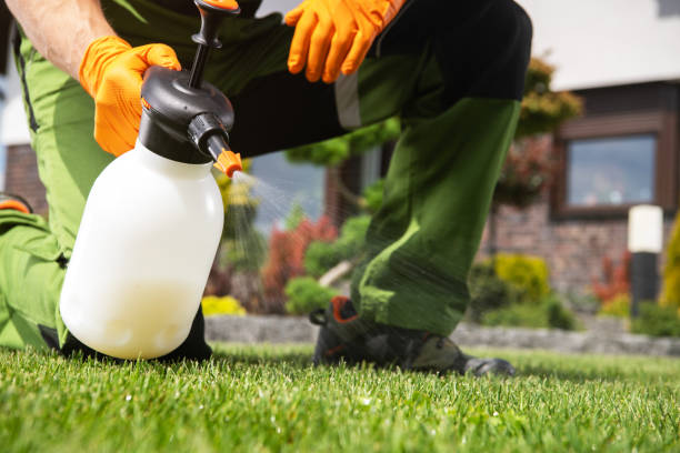 Best Flea Control Services  in Owosso, MI