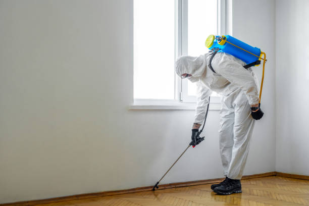 Wildlife Control Services in Owosso, MI