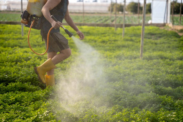 Best Best Pest Control Companies  in Owosso, MI