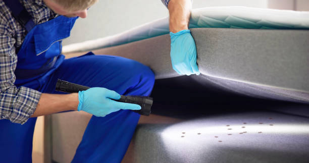 Best Exterminator Services  in Owosso, MI