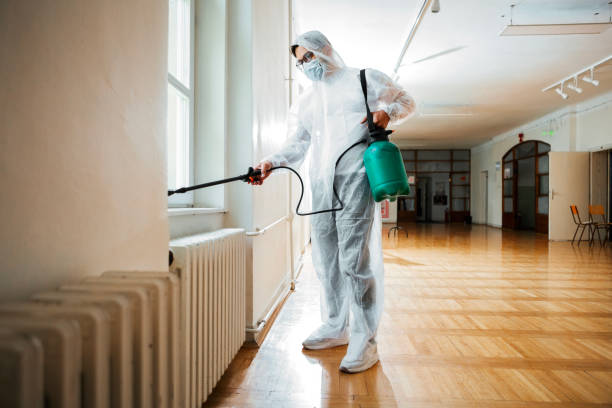 Trusted Owosso, MI Pest Control Experts