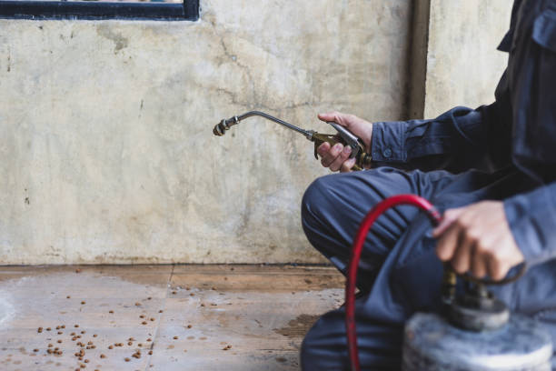 Best Residential Pest Control  in Owosso, MI